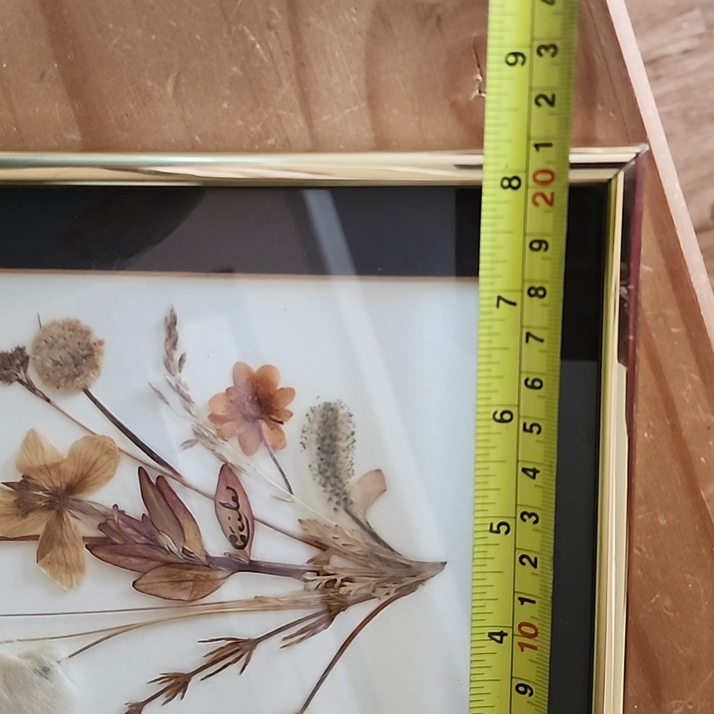Vintage Pressed Dried Arctic Flowers Gold Framed Floral Art - Picture 9 of 11